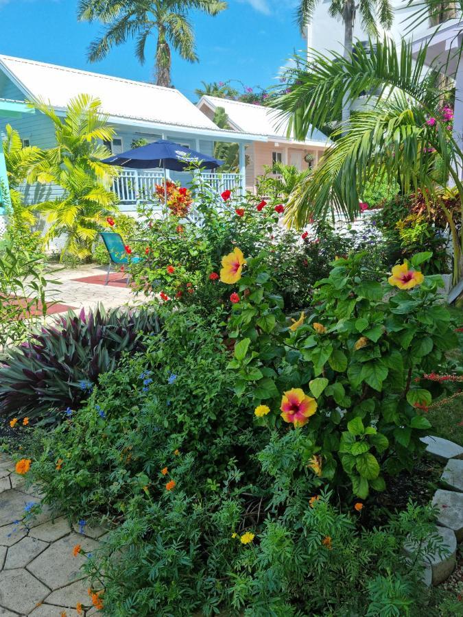 Harbour View Boutique Hotel & Yoga Retreat Belize City Exteriör bild